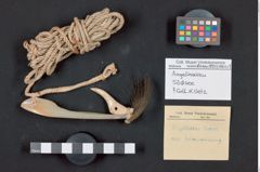 Foto (Übersicht mit Etikett) von Angelhaken (NHMW-ZOO-MO-0081100-ETH-110)